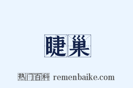 睫巢是什么意思的图片